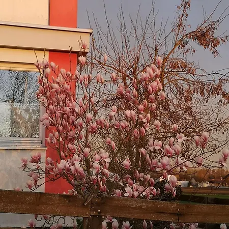 Vermietung Gisl Casa de hóspedes *